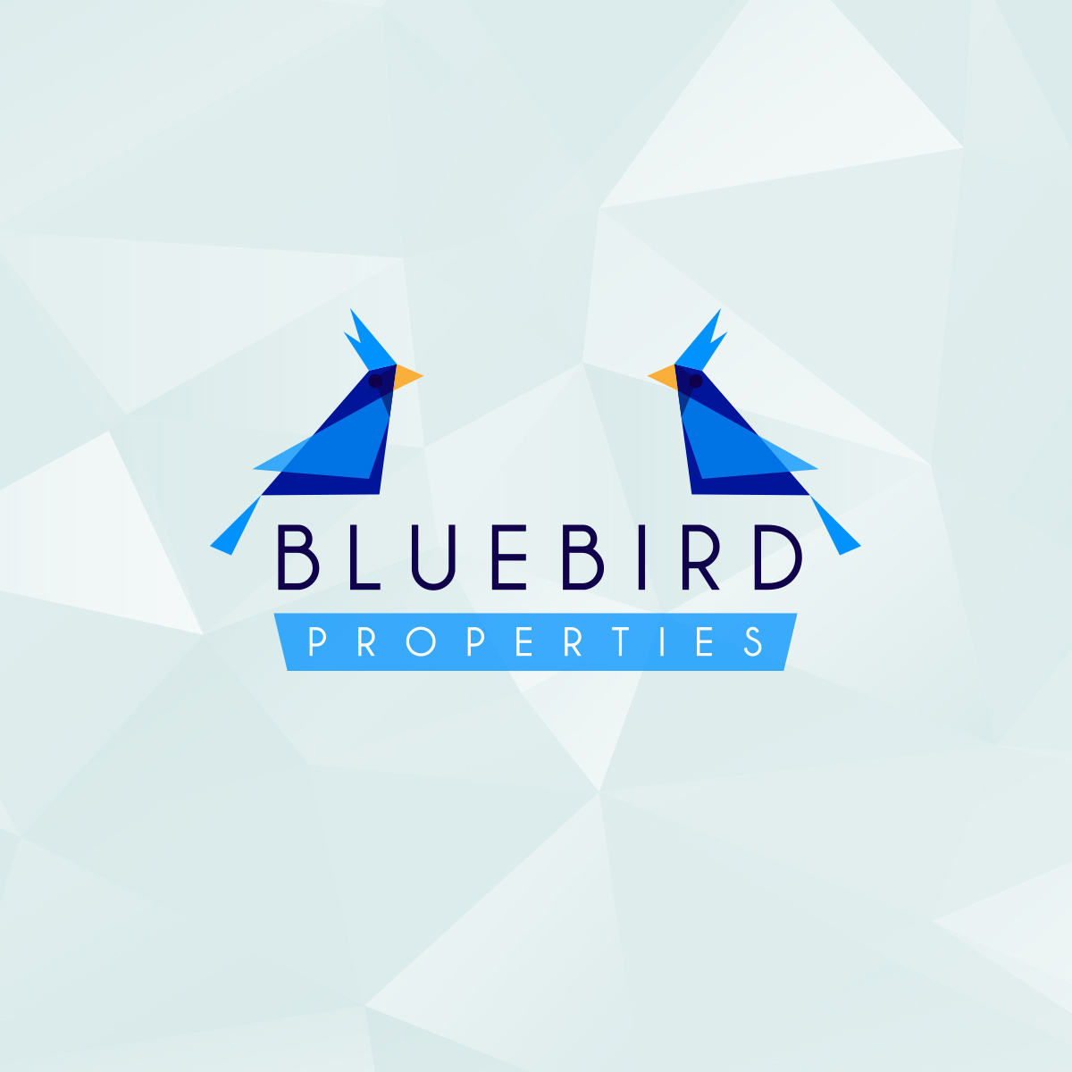 A pair of bluebirds in a  logo design for a company in Lafayette LA